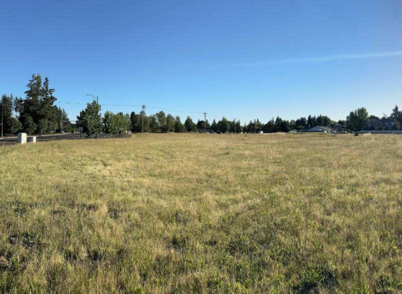 Keizer vacant property - image of an empty grassy lot surrounded by trees